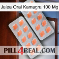 Oral Jelly Kamagra 100 Mg 27